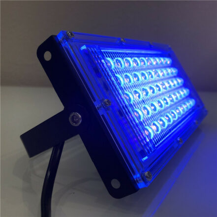 Lumière LED en résine pour photopolymérisation