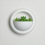 lampe blanche ronde style nordique avec de la verdure au centre, installée sur un mur blanc