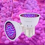 Lampe horticole de croissance LED pour serre présentée sur fond rose