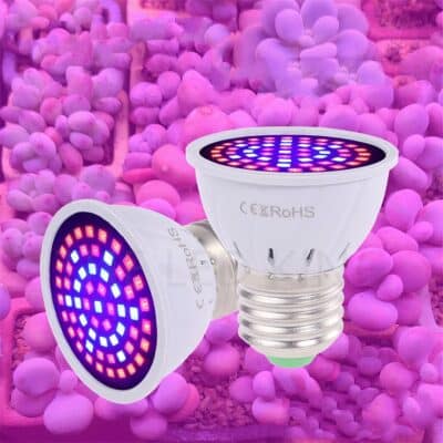 Lampe horticole de croissance LED pour serre présentée sur fond rose